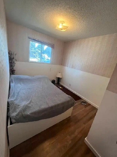 Fully Furnished Private Bedroom for Rent Image# 1