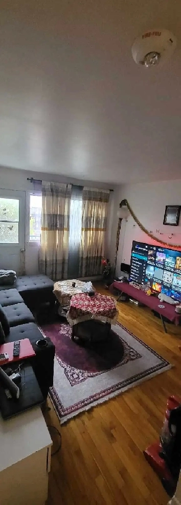 appartement 3 1/2 tt meublé pour juin juillet et Août Image# 1