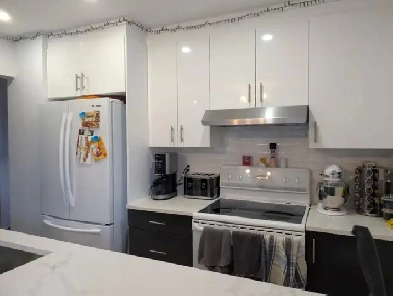 Grand 5 1/2 Shop Angus Image# 1