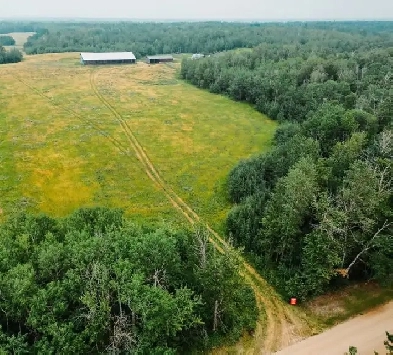 8.25 Scenic Land for Sale in Leduc County