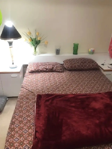 sharing Room For Female Image# 5