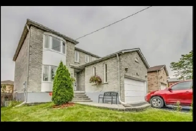 2 BEDROOM WALK-OUT BASEMENT FOR RENT MAIN ST/BOVAIRD DR Image# 1