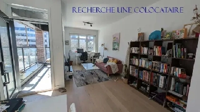 Looking for a roommate in a 4 1/2 Image# 1