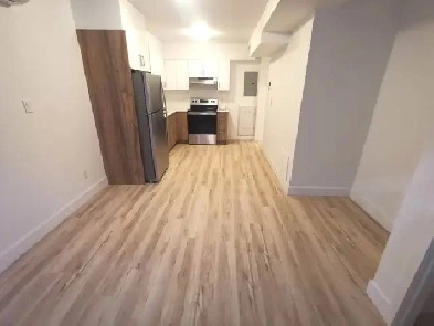 Studio à louer - 6 minutes du métro PIE-IX/ Studio for rent Image# 3