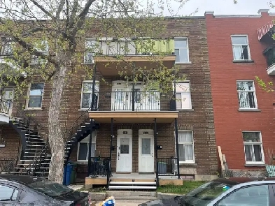 Appartement libre Hochelaga-Maisonneuve Image# 5