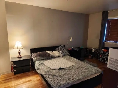 Cozy 2 bdr appartment in Maisonneuve for rent Image# 9