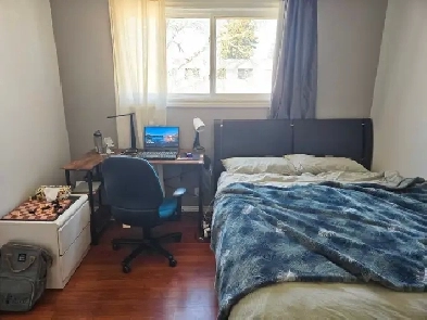 One bedroom for rent with pet friendly Image# 2