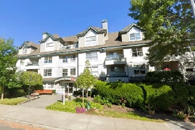 One BEDROOM and DEN. Excellent location. Image# 3
