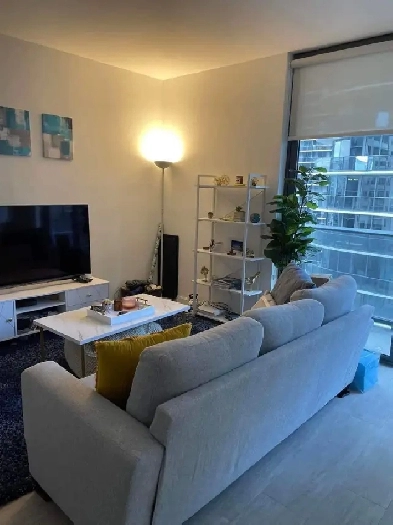 1 Bedroom Apartment For Rent Image# 7