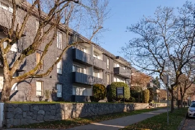 PET FRIENDLY 1BD, BTH SUITES IN KITS   1 YEAR FREE PARKING Image# 1