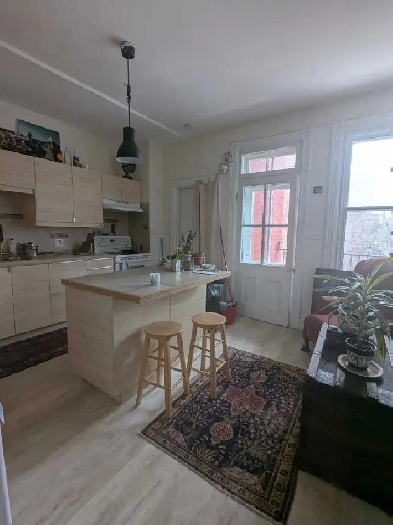 June   July Sublet in the Plateau Image# 1