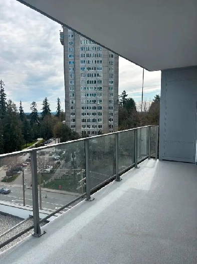 Brand new apartment for rent Image# 5