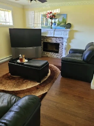 $1,500 / 1br - 550ft2 - Furnished 1-Bedroom Basement Suite Image# 2