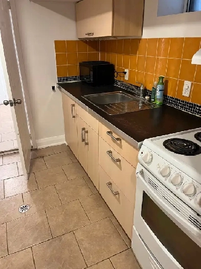 GREAT OPPORTUNITY, 2 BR BASEMENT APARTMENT, CLOSE TO SUBWAY STN Image# 10