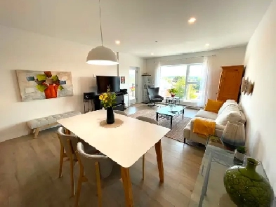 TOUT INCLUS - 4½ 1270 pi2 - 2e ÉTAGE / ASCENSEUR / GRAND WALK-IN Image# 11