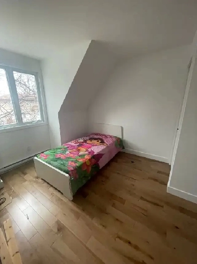 chambre à louer 60$ nuit Image# 3