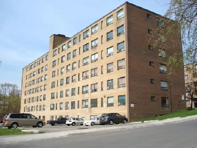 Newly Upgraded 2 brm Apt - DundasWest  and Scarlett Rd Image# 5
