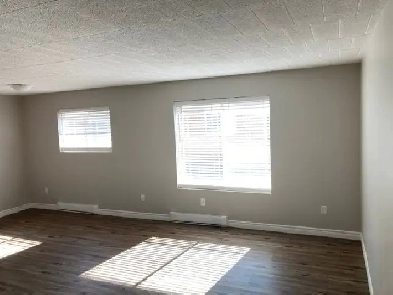 Available June 1st - Fully Remodelled Two Bedroom Apartment Image# 6