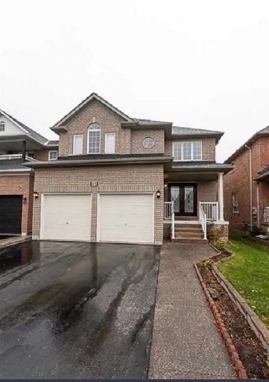 Room for rent in Brampton Image# 1