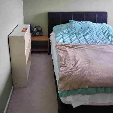 Shared Accommodation