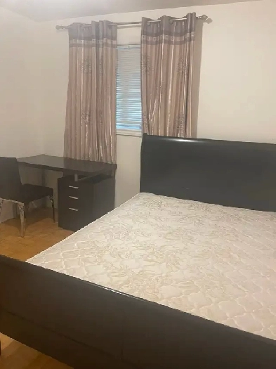 Downtown! A bright room for rent Image# 1