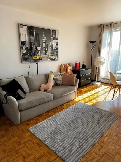 Grand 3.5 à louer à Lasalle \ Big 3.5 for rent in Lasalle Image# 2