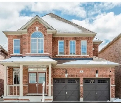 For Rent - 4 Bed, 3 Bath Detached House Image# 16