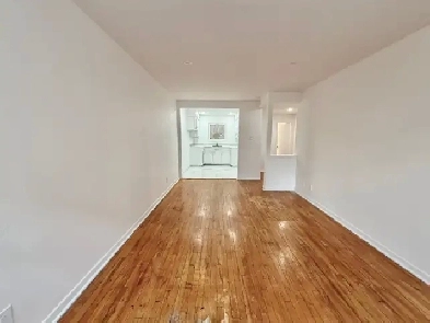 Beautiful One Bedroom - Hochelaga Image# 11