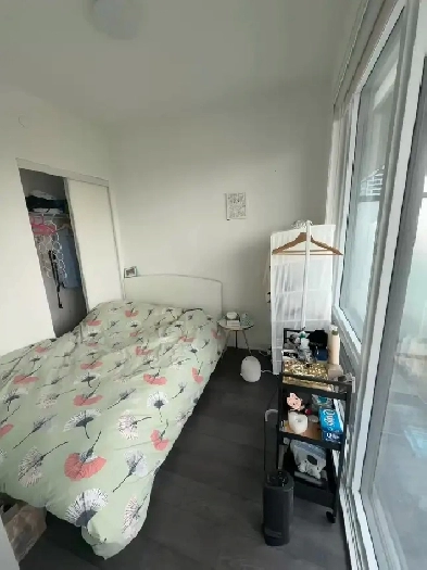 Downtown Toronto single bedroom (women only) Image# 5