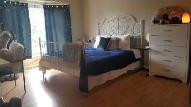 UTSC/CENTENNIAL ROOM FOR RENT Image# 1