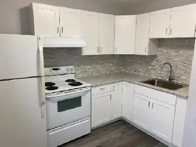 NEW RENOVATIONS! BRIGHT 2BDR! GREAT LOCATION! Image# 7