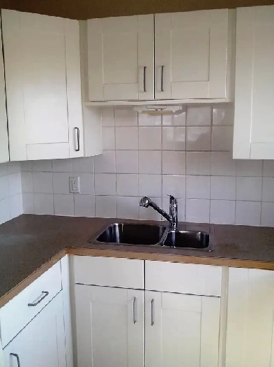 Spacious Bachelor Suite for Rent May 15th Image# 8