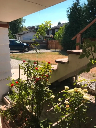 1Bedroom ,Bachelor suite with private entrance Image# 2
