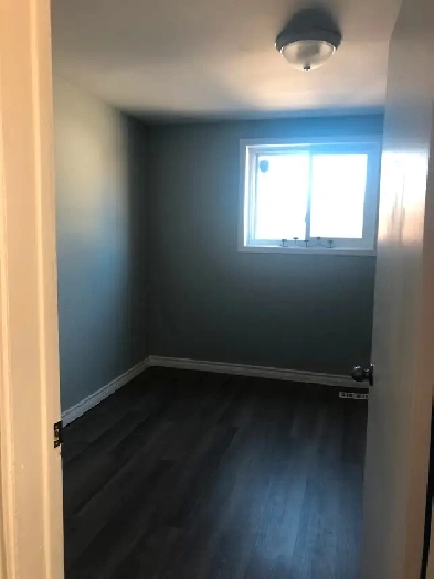 Roommate WANTED for 2 bedroom w yard & basement Image# 1