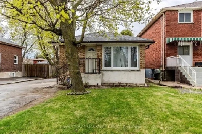 Beautiful 3 Bedroom Home For Rent Image# 4