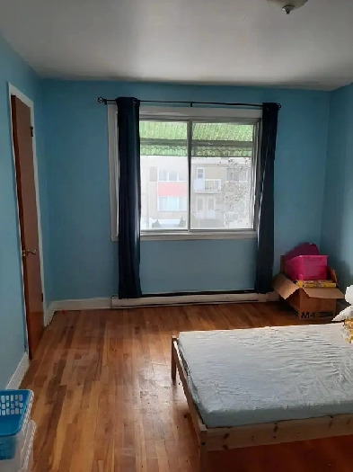 5½ haut-3-plex,(près du métro Langelier) Image# 3