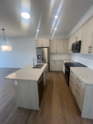 Brand New Duplex for Rent Image# 3