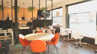 LOCAL COMMERCIAL A LOUER Image# 6