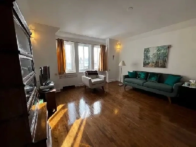 unfurnished 3 1/2 apartment for rent closed to metro Villa-Maria Image# 1