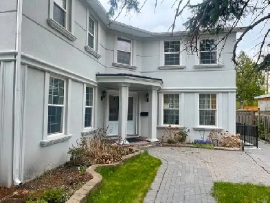 Basement Apartment rent,  Northpark and Bramalea Image# 3