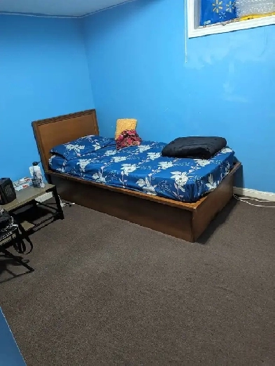 TWO BEDs WALKOUT FURNISHD BASEMENT FOR RENT Down town Brampton Image# 1