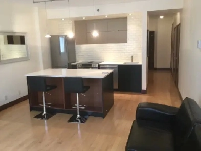 FULLY FURNISHED OLD MONTREAL 3 1/2 CONDO , METRO SQ VICTORIA Image# 9