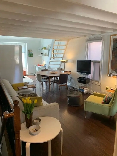 LOFT 2BDRM FURNISHED GREEKTOWN JULY-AUG (not condo) Image# 6