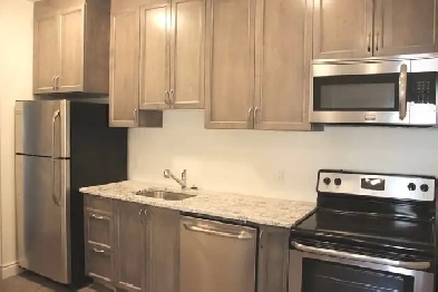 July 1 - Inclusive, Beautiful 1 BDR Downtown! Internet, Parking Image# 3