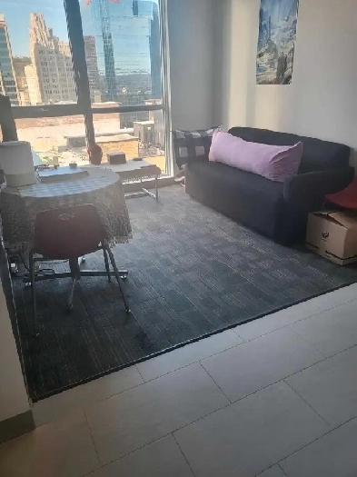 Apartment Sublet near McMaster downtown Hamilton Image# 4