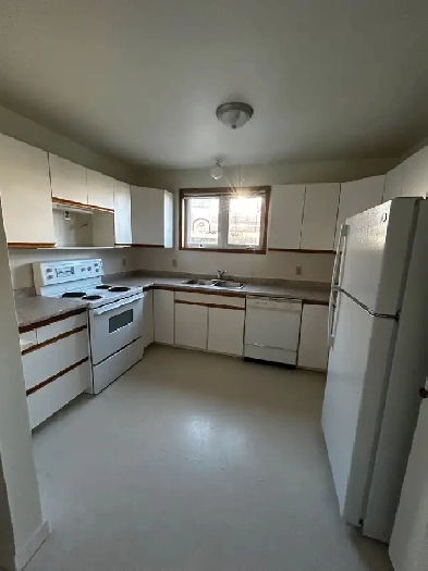Huge 2-Bedroom County Park Apartment Image# 3