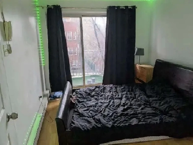 nice 31/2 near metro Frontenac Image# 1