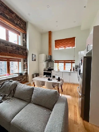 Charming apt on 2 floors in Old Montreal Image# 1