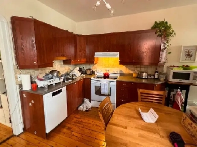 Plateau mt-royal 6 1/2 RDC avec cour 3 chambres Image# 1