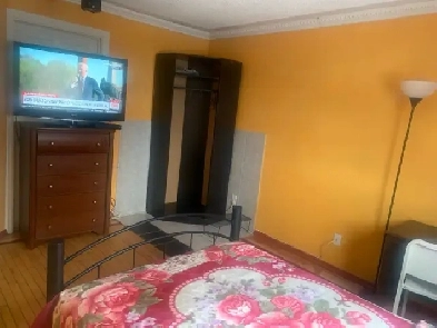 Furnished Room Rental Image# 1